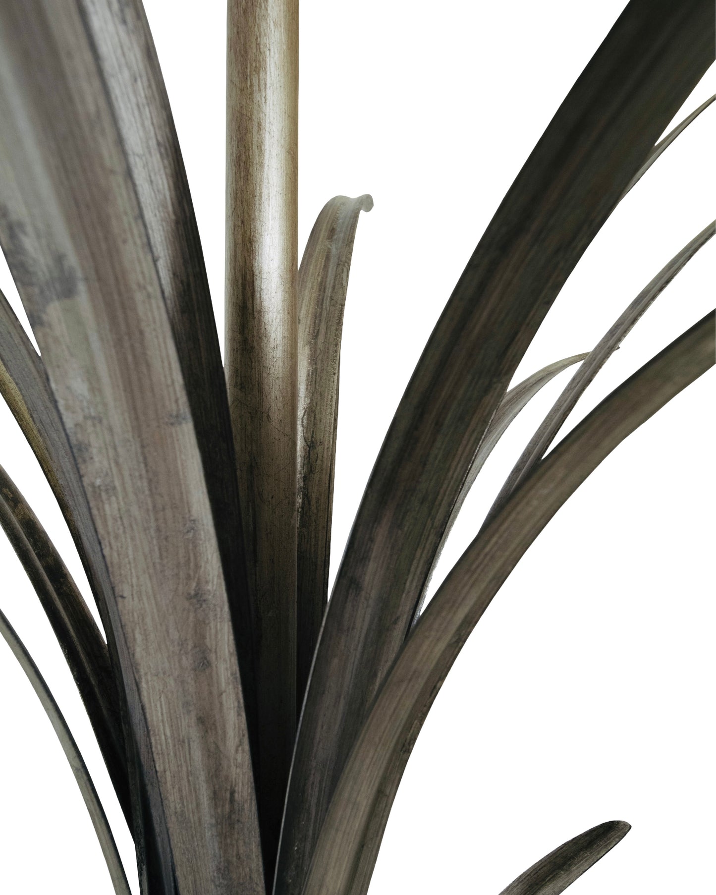 AGAVE TABLE LAMP