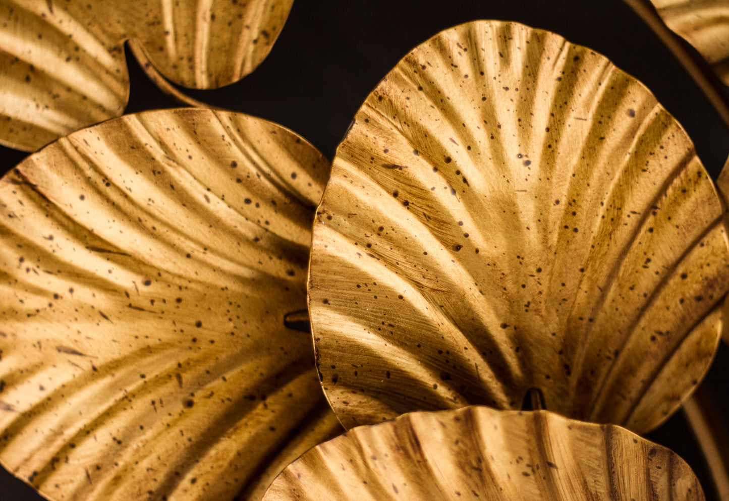 LILY WALL LIGHT